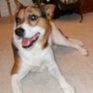 Meet your Posher, Marian